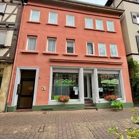 Tiny Getaway In Im Odenwald Bei Heidelberg Apartmán *